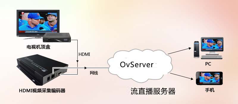 网络电视直播